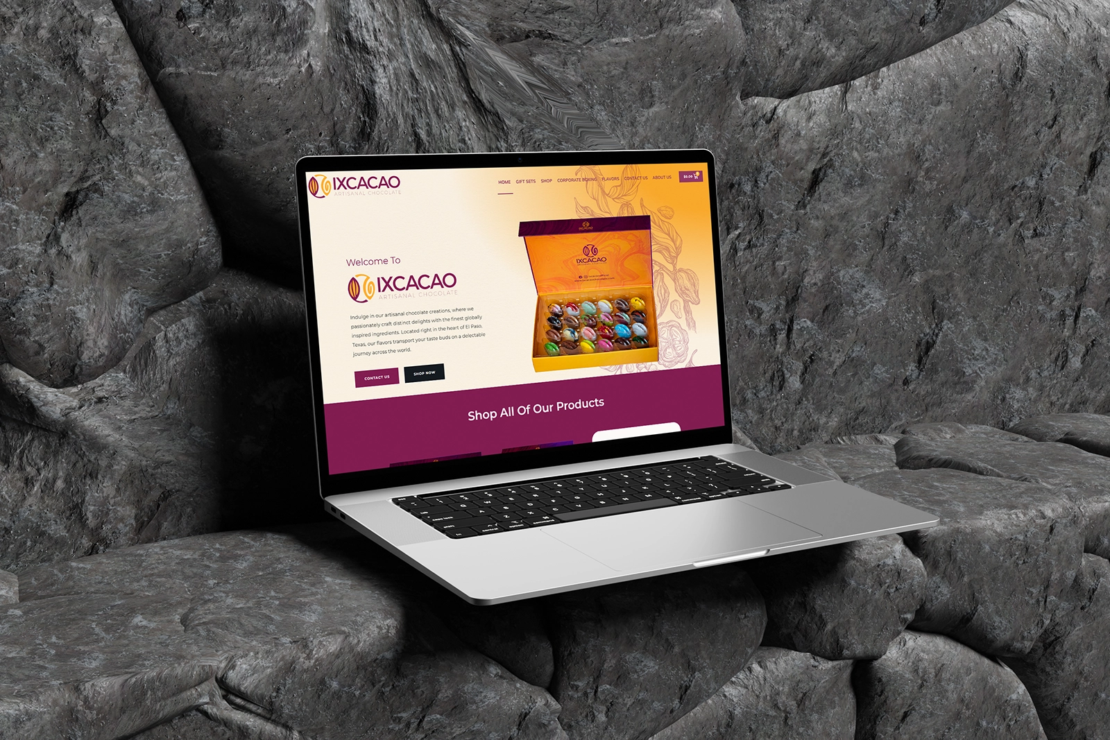 Web Design